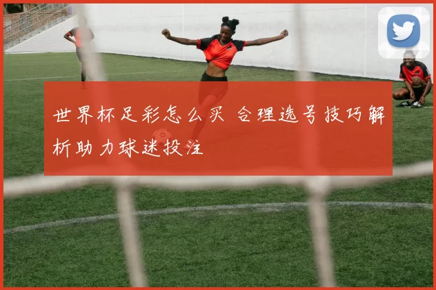 世界杯足彩怎么买 合理选号技巧解析助力球迷投注