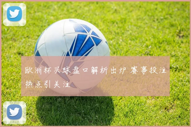 欧洲杯买球盘口解析出炉 赛事投注热点引关注