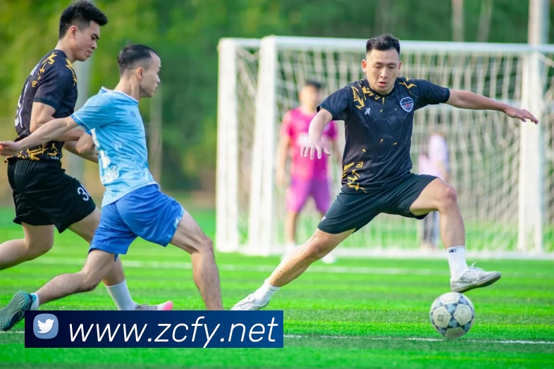 LETOU - 乐投(中文)官方网站发展历程